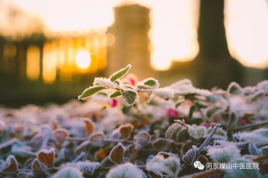 寒露以至，新的节气当注意这些事